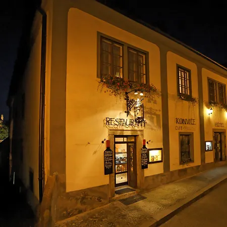 Konvice
